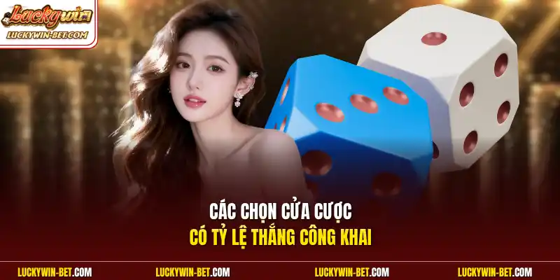 Các chọn cửa cược có tỷ lệ thắng công khai