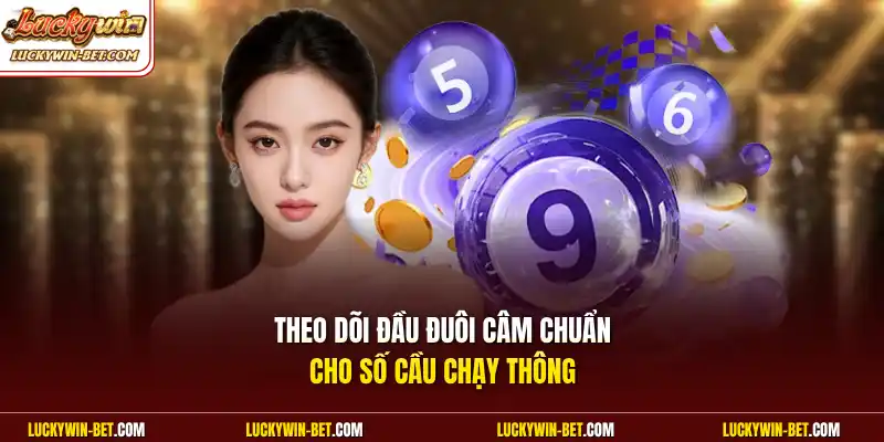 Theo dõi đầu đuôi câm chuẩn cho số cầu chạy thông